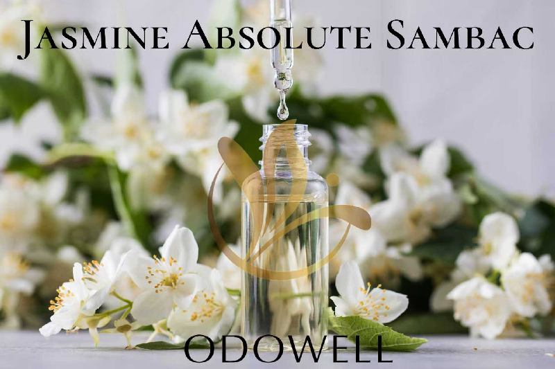 ​ODOWELL Launches Jasmine Absolute Sambac — A Premium Natural Jasmine Absolute for Perfume and Beauty