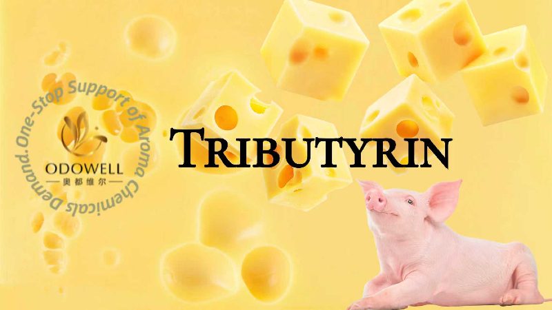 ​ODOWELL Introduces Tributyrin A Functional Feed Additive for Gut Health and Digestion