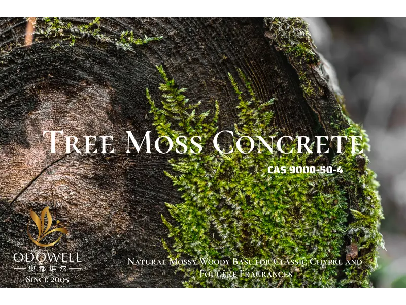 Tree Moss Concrete – ODOWELL's Natural Mossy-Woody Base for Classic Chypre and Fougère Fragrances