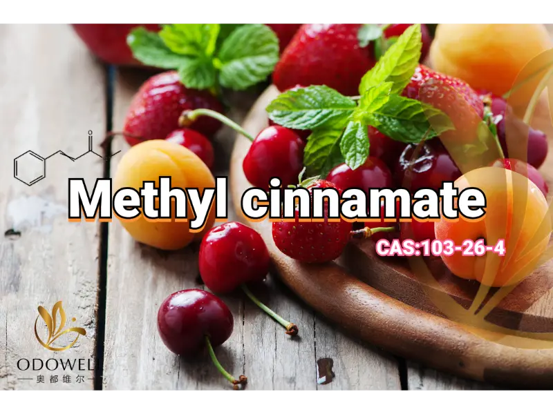 Methyl Cinnamate  – ODOWELL's Sweet Fruity-Balsamic Ester for Oriental Fragrances