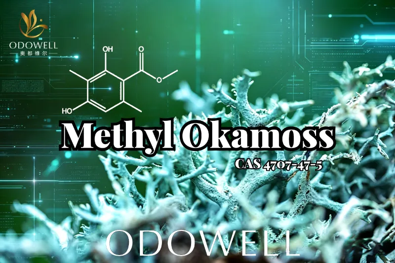 ​ODOWELL Introduces Methyl Okamoss: Authentic Synthetic Oakmoss for Chypre and Fougère Mastery