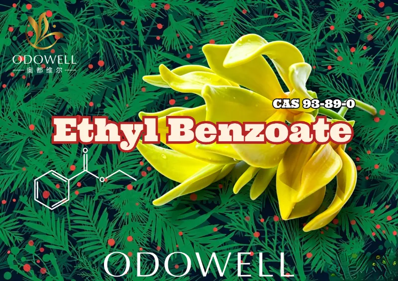 ODOWELL Launches Ethyl Benzoate: Warm Wintergreen-Ylang Ester for Floral and Oriental Elegance