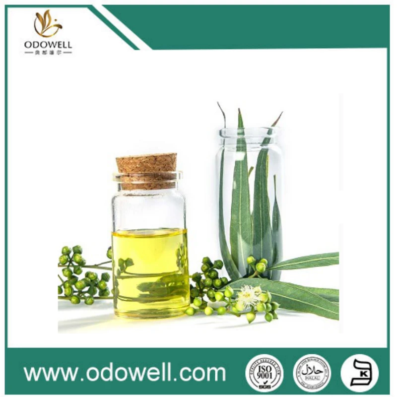 Why Are Pharmaceutical Grades Gaining Traction in Eucalyptus Oil Applications?