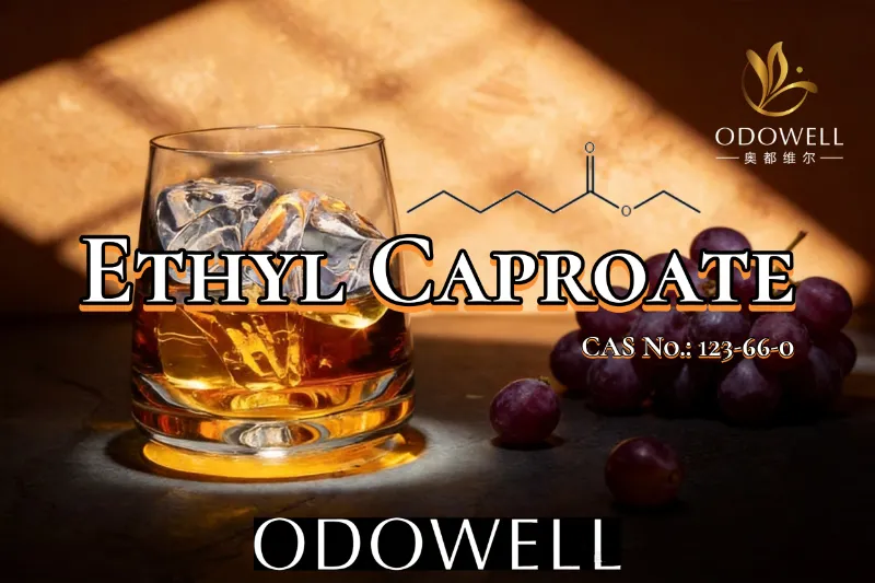 ​ODOWELL Recommends Ethyl Caproate for Fruity and Wine-Like Flavor Applications