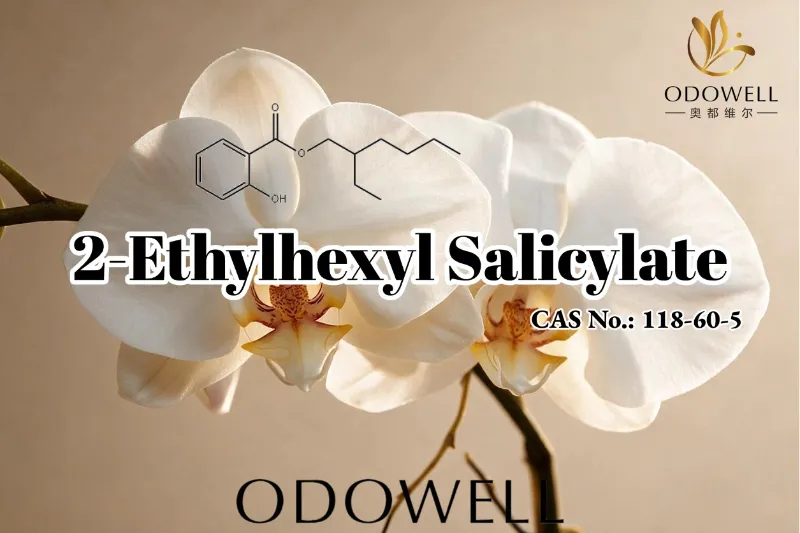 ODOWELL Recommends 2-Ethylhexyl Salicylate for Fragrance, Cosmetics, and Personal Care Applications