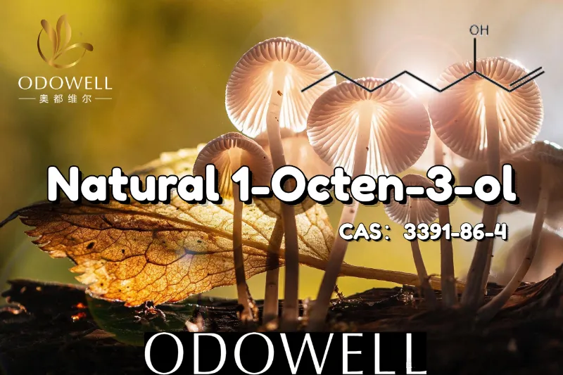 ​ODOWELL Recommends Natural 1-Octen-3-ol for Mushroom-Like and Earthy Flavor Applications